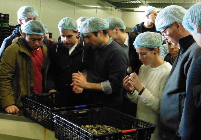 Vis en Inspiratie studiereis Zeeland 2016